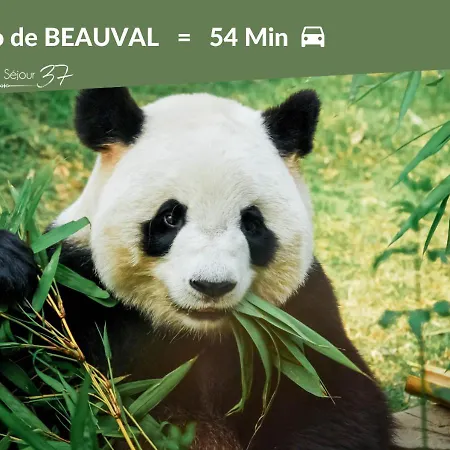 Appartement L'experience Tourangelle #3 *