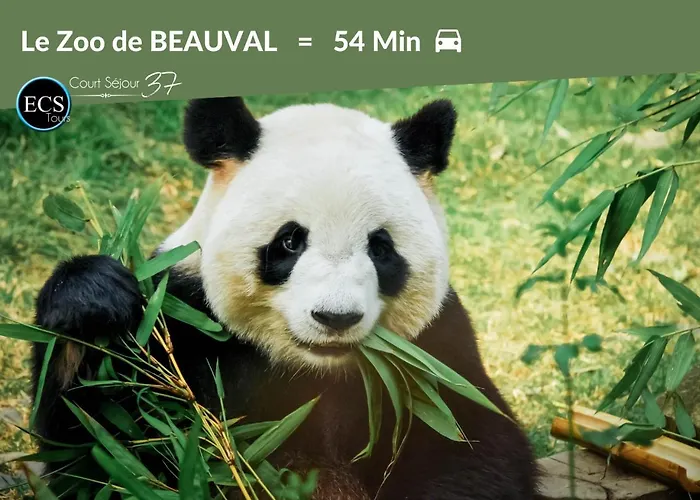 Apartament L'experience Tourangelle #3 *