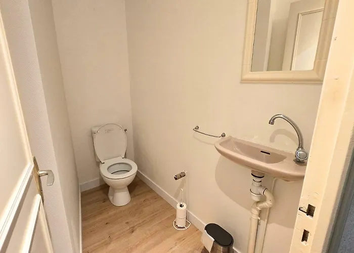 Apartament L'experience Tourangelle #3 *